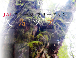 屋久島ツアーのイメージ
