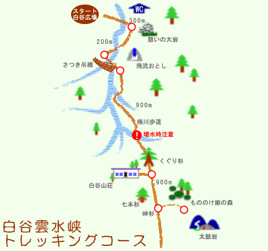 ���J�_�����g���b�L���O�R�[�X�̂��ē�