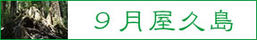 9月屋久島特集 9月屋久島特集