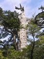�I����