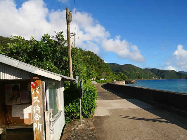 加計 呂 麻島