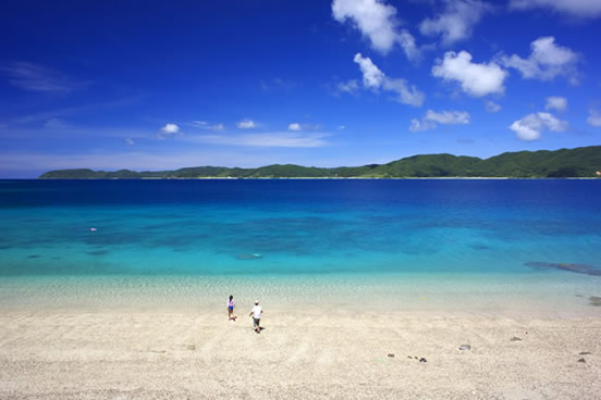 奄美大島旅行おすすめのコツ ツアー情報