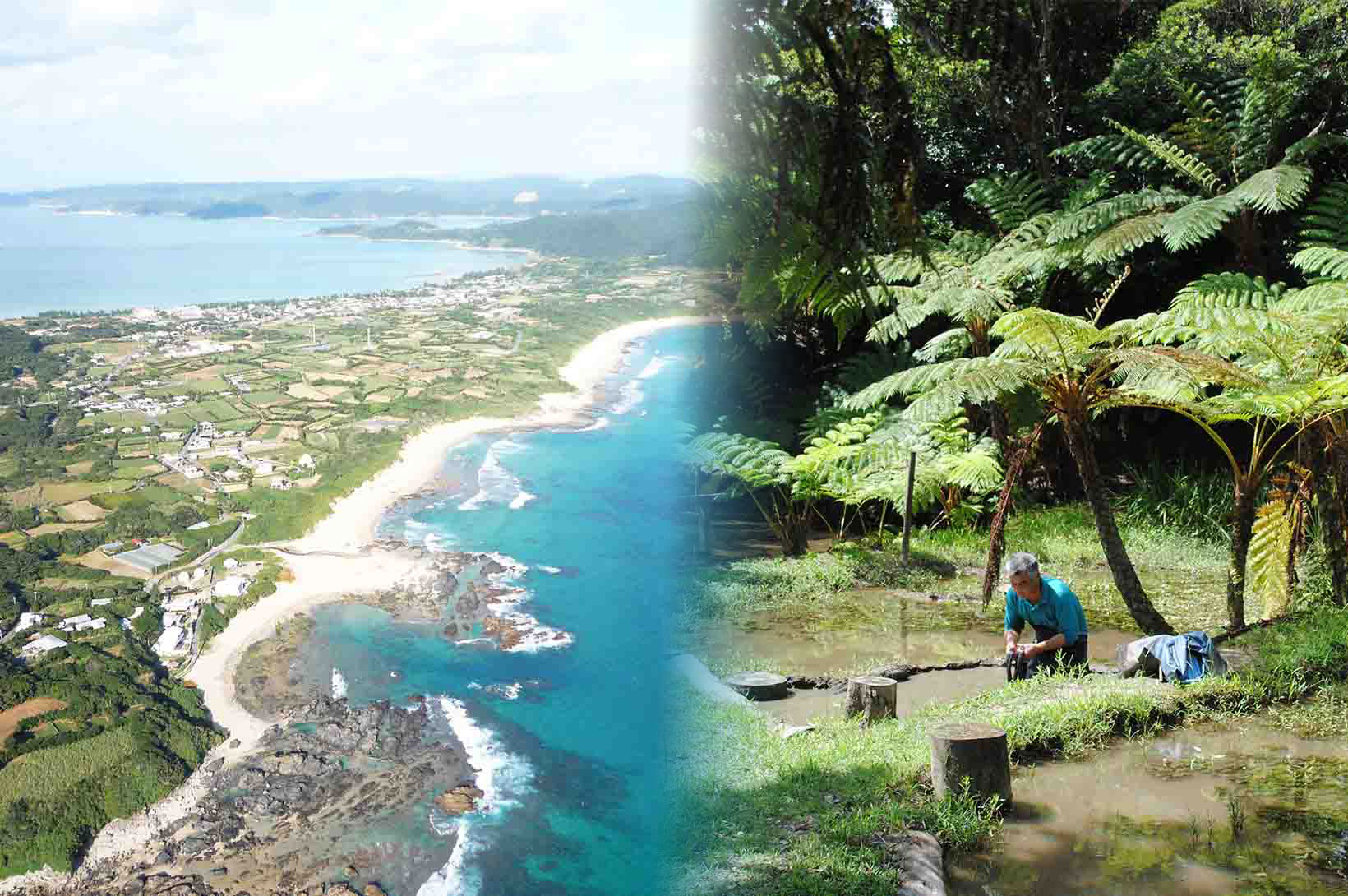 奄美大島集落・泥染め