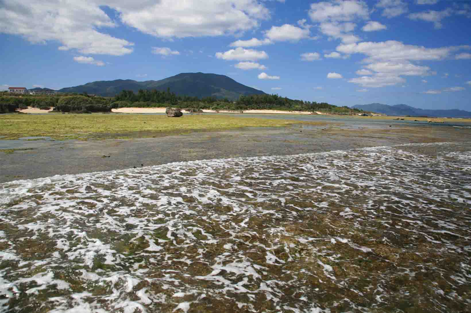 井之川岳