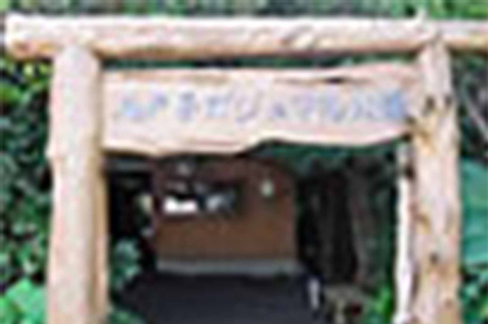 志戸子ガジュマル公園