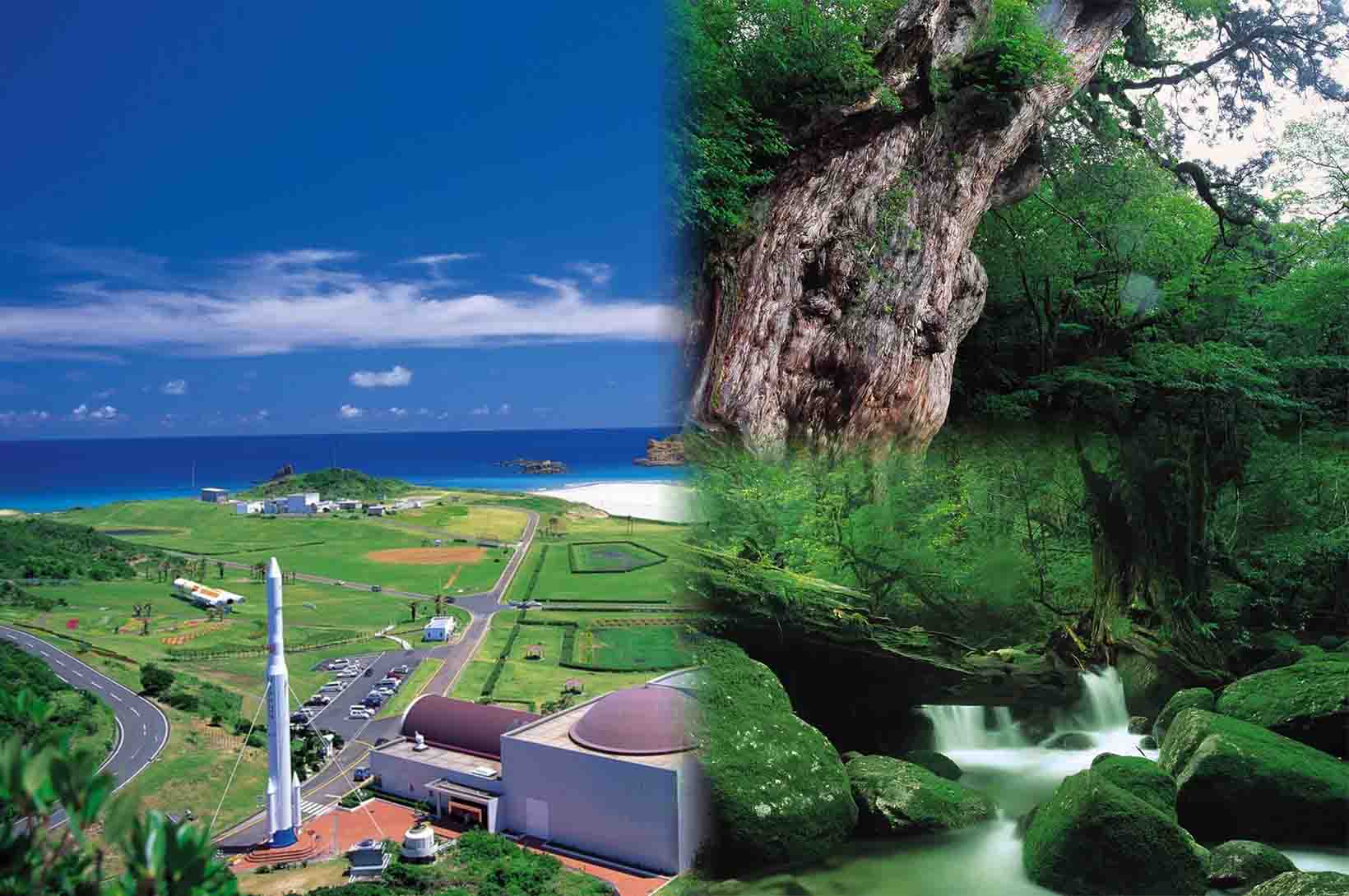 屋久島＆種子島